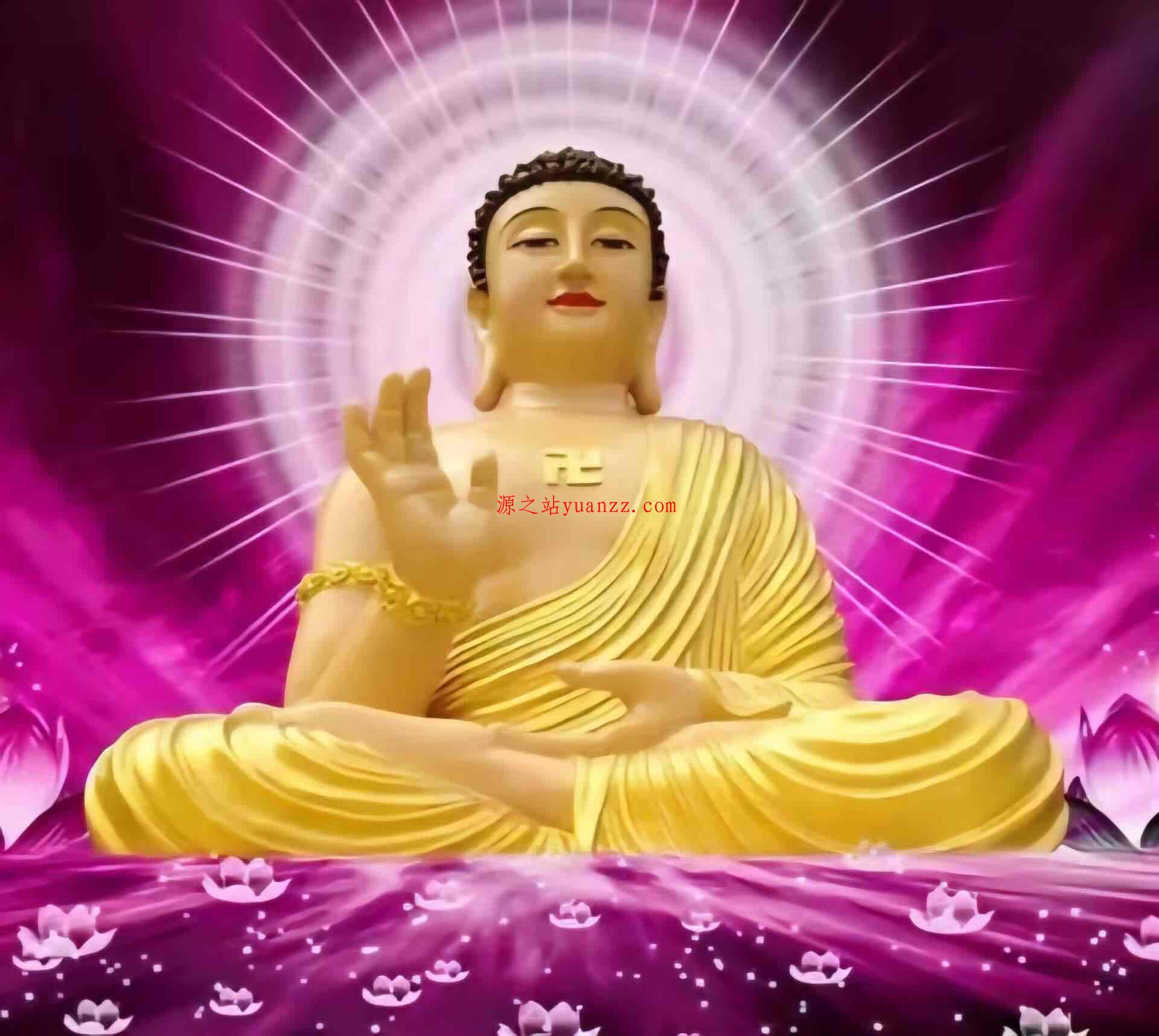 本站友联- 文文8客