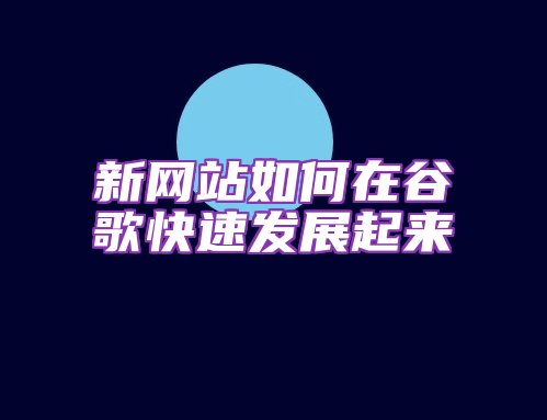 新网站如何在谷歌快速发展起来
