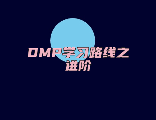 DMP学习路线之进阶